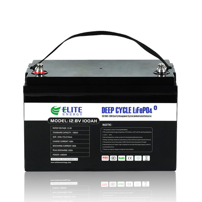 Litio ricaricabile Ion Battery di LFP 12V 100Ah 5000 cicli per ESS